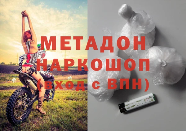 индика Нея