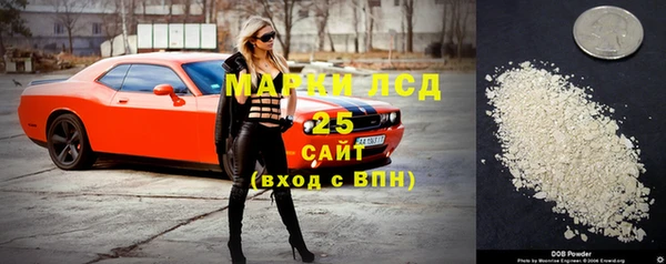 индика Нея