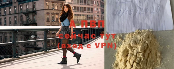 индика Нея