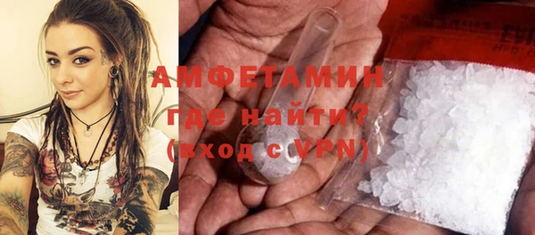 индика Нея