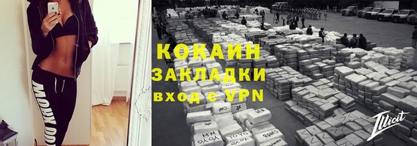 индика Нея