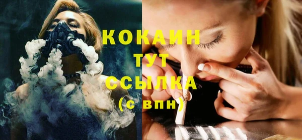 индика Нея