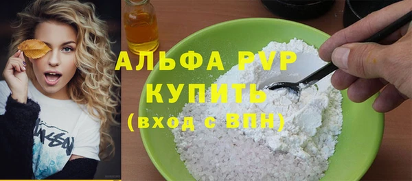 стаф Бежецк