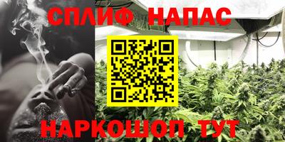 ПСИЛОЦИБИНОВЫЕ ГРИБЫ Апшеронск