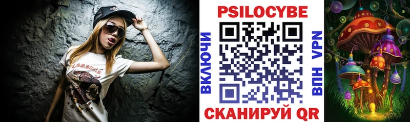 Галлюциногенные грибы Psilocybe  Кунгур 