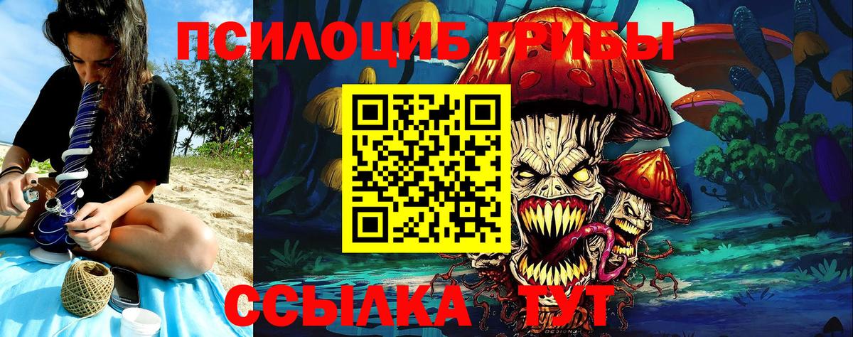 Псилоцибиновые грибы Psilocybine cubensis Кунгур