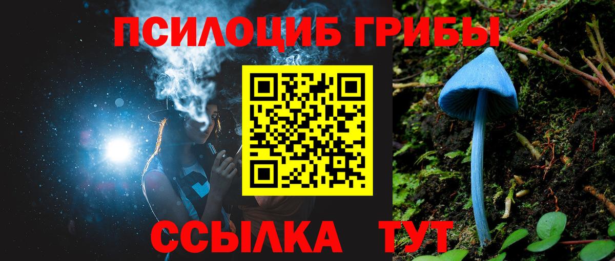 Галлюциногенные грибы MAGIC MUSHROOMS  Вход с VPN  Кунгур 
