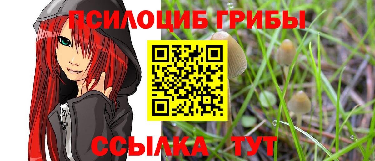 Галлюциногенные грибы прущие грибы Кунгур